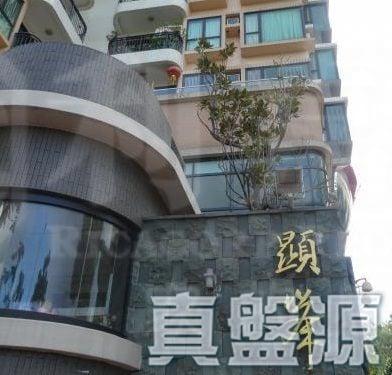 顯峯 - 28NTS – 香港北部都會區