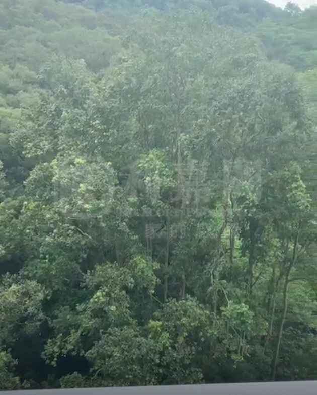 天鑽 8座 - 28NTS – 香港北部都會區