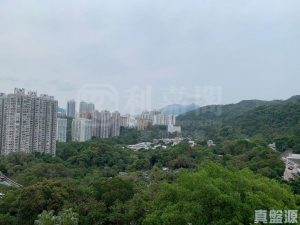 世界花園 芙蓉閣 (5座) - 28NTS – 香港北部都會區
