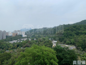 世界花園 芙蓉閣 (5座) - 28NTS – 香港北部都會區