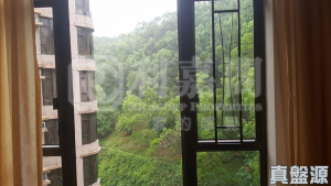 大埔寶馬山 8座 - 28NTS – 香港北部都會區