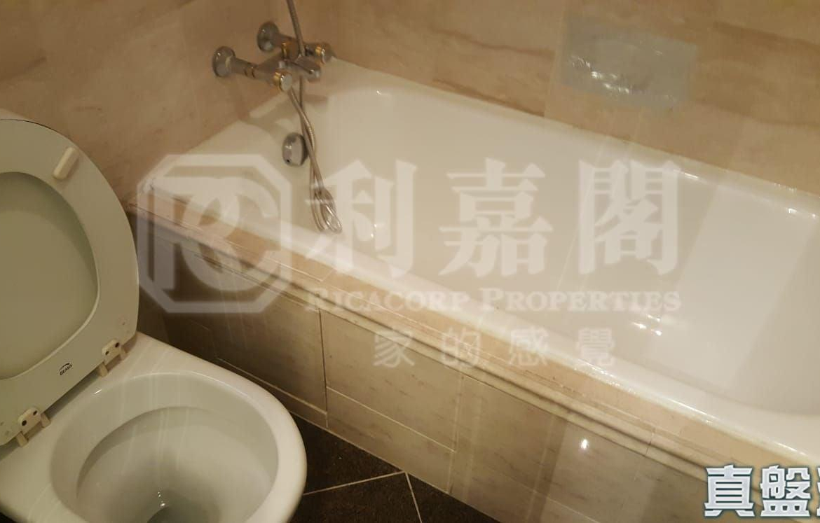 大埔寶馬山 8座 - 28NTS – 香港北部都會區