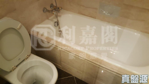 大埔寶馬山 8座 - 28NTS – 香港北部都會區