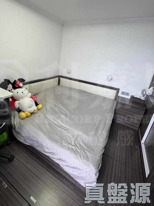 錦泰苑 錦興閣 (C座) - 28NTS – 香港北部都會區