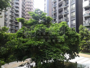 朗濤 7B座 - 28NTS – 香港北部都會區