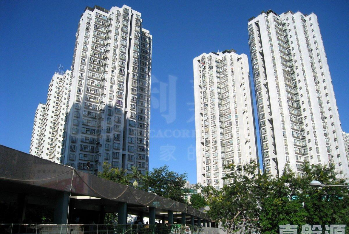 新都廣場 3座 - 28NTS – 香港北部都會區