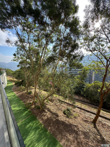 九肚山峰 - 28NTS – 香港北部都會區
