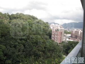 壹號雲頂 1期 2座 - 28NTS – 香港北部都會區