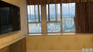 希爾頓中心 A座 - 28NTS – 香港北部都會區