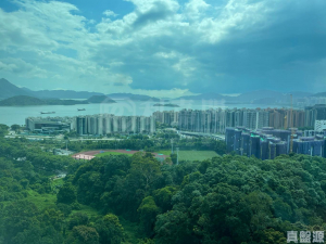 鹿茵山莊 鹿怡居 2座 - 28NTS – 香港北部都會區