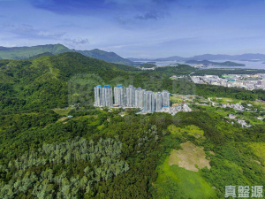 嵐山 1期 8座 - 28NTS – 香港北部都會區