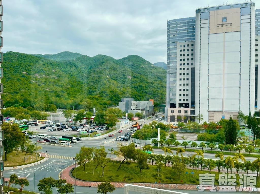 翠湖花園 1期 A座 - 28NTS – 香港北部都會區