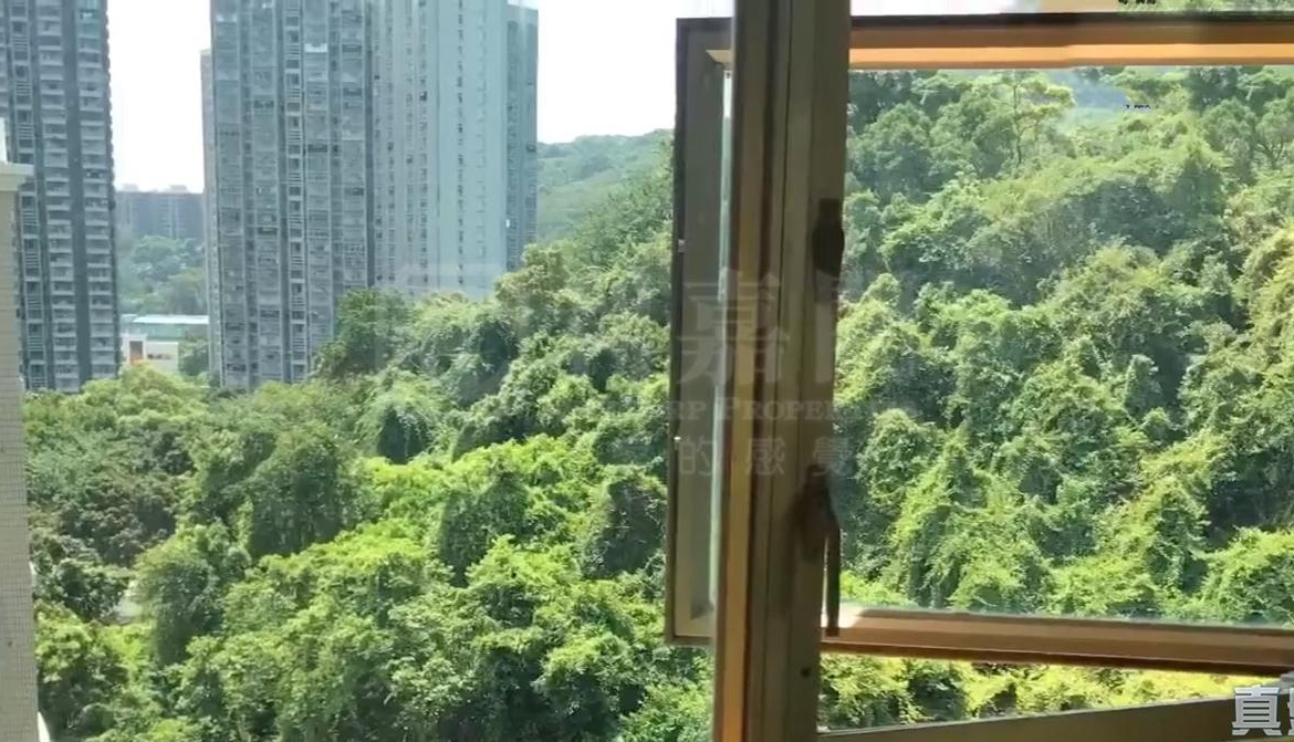 新峰花園 4期 御峰豪園 30座 - 28NTS – 香港北部都會區