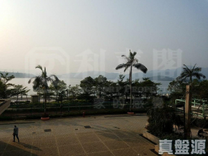 錦豐苑 錦蕙閣 (C座) - 28NTS – 香港北部都會區