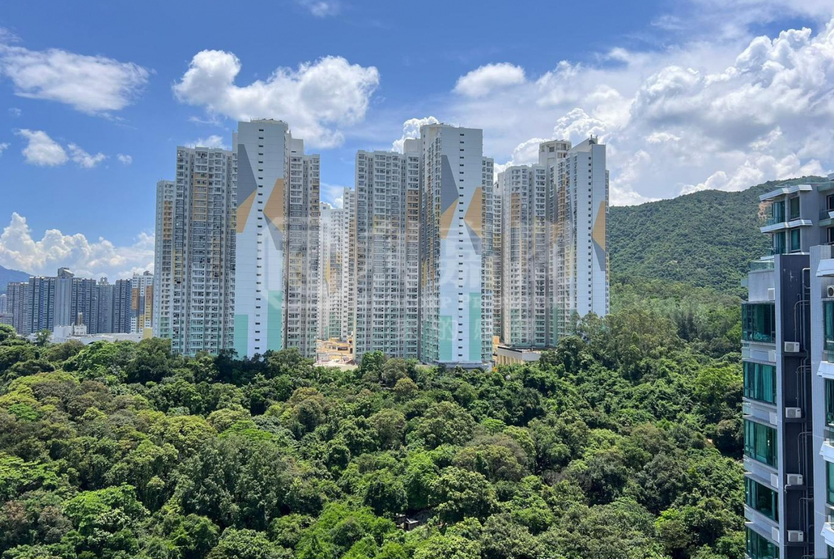 嵐山 2期 1座 - 28NTS – 香港北部都會區