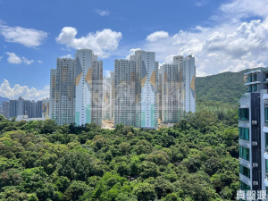 嵐山 2期 1座 - 28NTS – 香港北部都會區