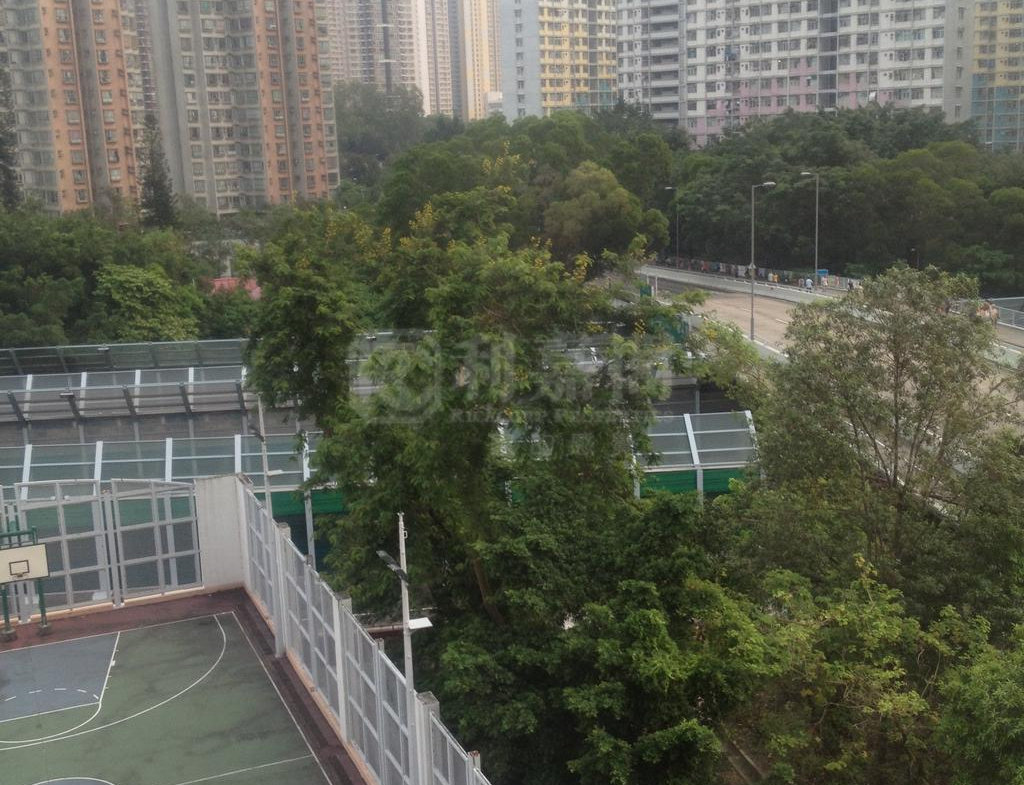 旭埔苑 周湖閣 (F座) - 28NTS – 香港北部都會區