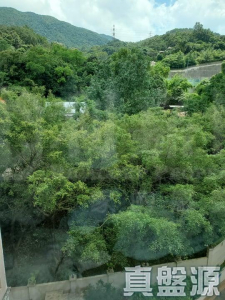 新峰花園 4期 御峰豪園 26座 - 28NTS – 香港北部都會區