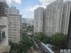 粉嶺名都 雅碧閣 (1座) - 28NTS – 香港北部都會區