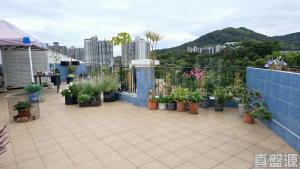 新峰花園 4期 御峰豪園 28座 - 28NTS – 香港北部都會區
