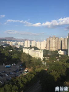 新峰花園 4期 御峰豪園 28座 - 28NTS – 香港北部都會區