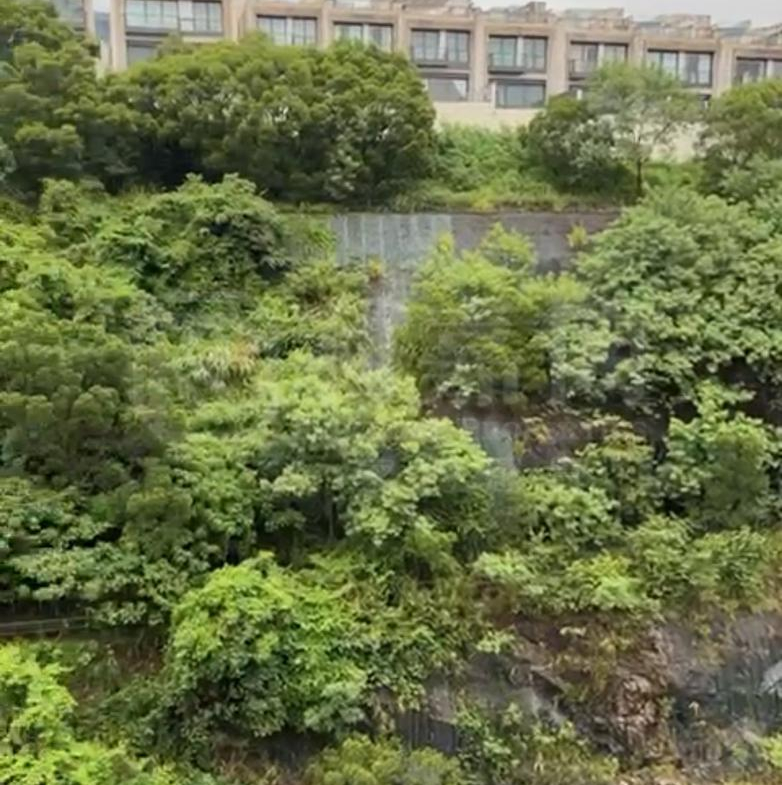 玖瓏山 日瓏閣 第1座 - 28NTS – 香港北部都會區