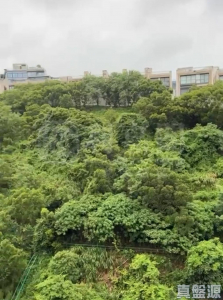 玖瓏山 日瓏閣 第1座 - 28NTS – 香港北部都會區