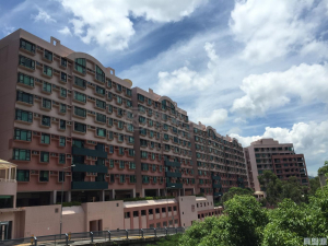曉翠山莊 3座 - 28NTS – 香港北部都會區
