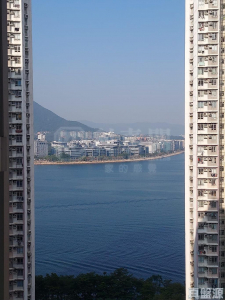 錦豐苑 錦蘭閣 (J座) - 28NTS – 香港北部都會區