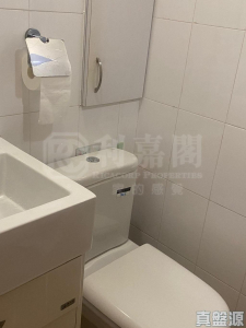 錦英苑 錦良閣 (A座) - 28NTS – 香港北部都會區