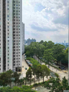 榮輝中心 1座 - 28NTS – 香港北部都會區