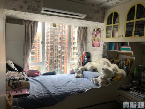 希爾頓中心 B座 - 28NTS – 香港北部都會區