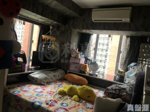 希爾頓中心 B座 - 28NTS – 香港北部都會區