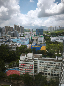 祥華邨 祥景樓 - 28NTS – 香港北部都會區