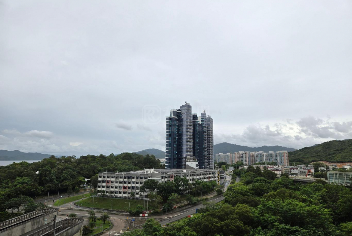銀湖．天峰 6座 - 28NTS – 香港北部都會區