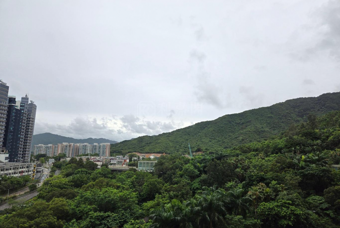 銀湖．天峰 6座 - 28NTS – 香港北部都會區