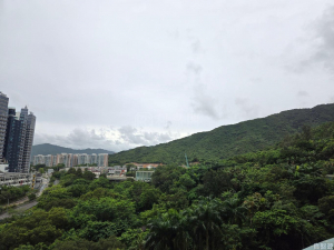 銀湖．天峰 6座 - 28NTS – 香港北部都會區