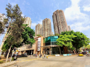 帝庭軒 1期 2座 - 28NTS – 香港北部都會區