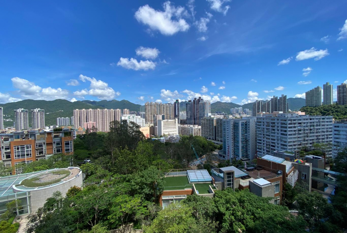 晉名峰 B座 - 28NTS – 香港北部都會區