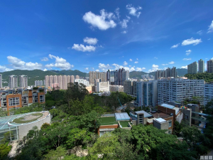 晉名峰 B座 - 28NTS – 香港北部都會區