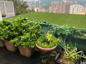 晉名峰 - 28NTS – 香港北部都會區