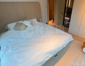 畢架‧金峰 1座 - 28NTS – 香港北部都會區