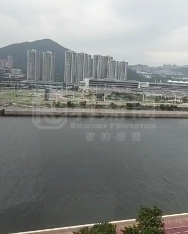 碧濤花園 1期 金蘭閣 (3座) - 28NTS – 香港北部都會區