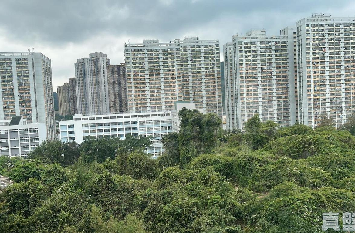 景田苑 冰心閣 (C座) - 28NTS – 香港北部都會區