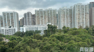 景田苑 冰心閣 (C座) - 28NTS – 香港北部都會區