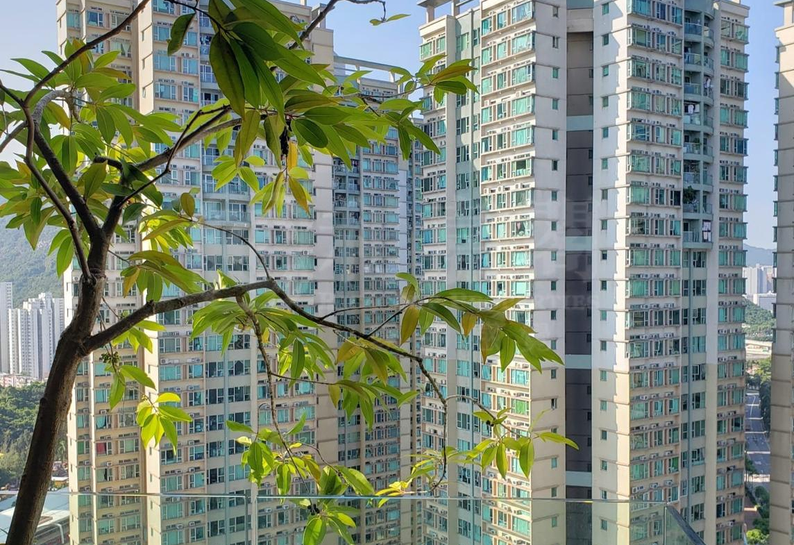 嵐岸 6座 - 28NTS – 香港北部都會區