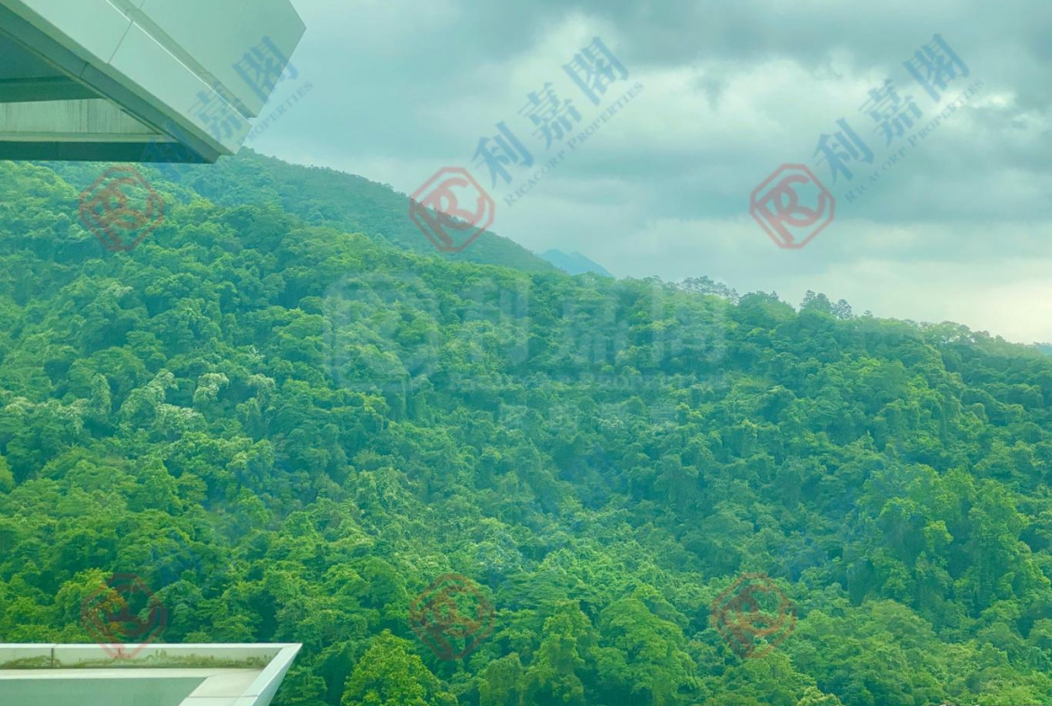 嵐山 1期 7座 - 28NTS – 香港北部都會區