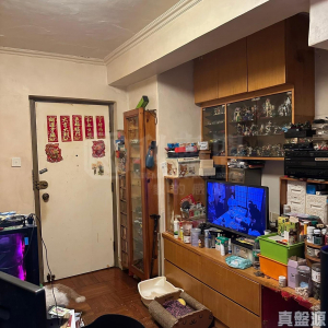 花園城 1期 雅麗苑 (3座) - 28NTS – 香港北部都會區