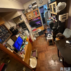 花園城 1期 雅麗苑 (3座) - 28NTS – 香港北部都會區