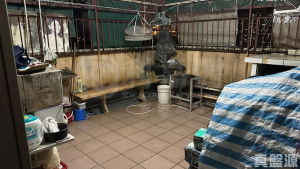 花園城 1期 雅麗苑 (3座) - 28NTS – 香港北部都會區
